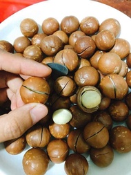 500g hạt macca tách vỏ