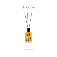 Divana : Pitta Ginger Olive Four Element Room Fragrance 200 ml. น้ำมันหอมระเหย น้ำหอมปรับอากาศ ก้านไม้หอม  น้ำหอมประดับบ้าน  ของขวัญ ของแต่งบ้าน น้ำหอม