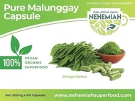 Pure Moringa Capsule (Malunggay) by Nehemiah Superfood