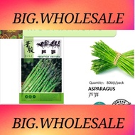 B11 MUDAH MART 80biji/pack ASPARAGUS 芦笋 VEGETABLE SEED BENIH SAYUR
