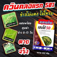 ควินคลอแรก 50% ขนาด 250 กรัม 🛑 สารกำจัดวัชพืช ในนาข้าว กำจัดหญ้าข้าวนก ลิเก กระดูกไก่ ดอกขาว ข้าวไม่