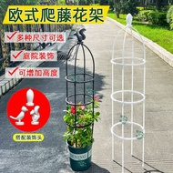 K-Y/ Lattice Flowers Clematis China Rose Flower Pots Plant Climbing Indoor Stephania Erecta Support Rod One Piece Wholes