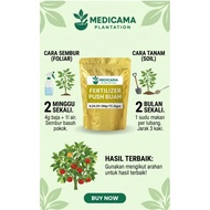 1KG PATI BAJA PUSH BUAH NPK 8:24:35+3MG+TE+Algae