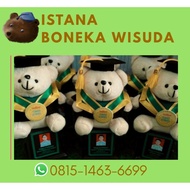 Piala Boneka Wisuda SD SMP SMA | Proses Cepat