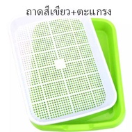 ถาดเพาะต้นอ่อนไร้ดิน ❗️ถาดเพาะ กับ ฝาปิด แยกขายนะ❗️ถาดเพาะ ปลูกทานตะวัน ถั่วงอก ไม่มีดินก็สามารถปลูก