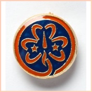 ✼ △ ◰ GSP PINS (twinkler, star, junior, senior, cadet,troop leader pin, WORLD PIN, GSP LOGO PIN)