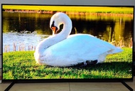 SONY 55吋 55inch A80J Oled 4K 120hz Google Smart TV 智能 電視