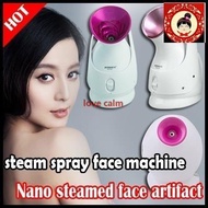 Kingdom face steamer/household nano face steamer/kd - 2331 steam spray face machine/hydrating facial