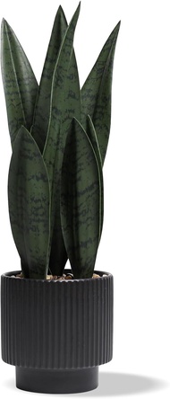 Artificial Plants Sansevieria Snake Plant with Black Ceramic Pot Desk Small Fake Plant for Indoor Li