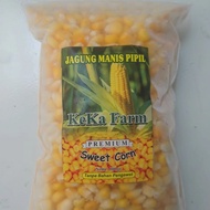 jagung manis pipil jasuke