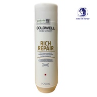 Goldwell Rich Repair Restoring Shampoo 250ml - BK