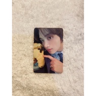 Photocard haechan doll