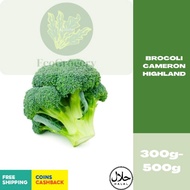 Fresh Broccoli // Sayur Broccoli Cameron Highland (250g-350g)