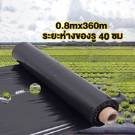 พลาสติกคลุมดิน 0.8ม.x400หลา(360ม) พลาสติกคลุมแปลง พลาสติกดำ/เงิน พลาสติกกันวัชพืช กันวัชพืช ปลูกผัก
