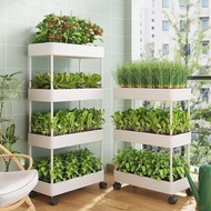 Balkoni sayur-sayuran tumbuh artifak rak penyimpanan troli berbilang lapisan dapur bakul sayur-sayuran isi rumah menanam