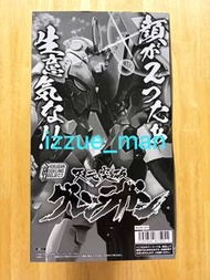 SMP 天元突破