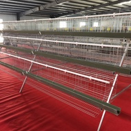 Sangkar ayam automatik, sangkar ayam petelur, sangkar ayam bertingkat, sangkar ayam pedaging, sangka