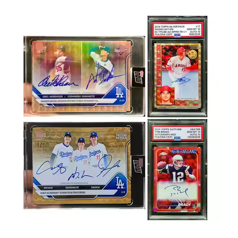 Panini 2025 Tn 2024 Nfl Autograph Card Brick Tom Brady Shohei Ohtani Collectible Cards Christmas Bir