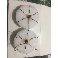 Extremely sharp green blade exactly like the picture 1, product exactly as pictured 5ggd56akkza