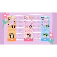 PHOTOCARD HOLDER CAHOL VIVIZ