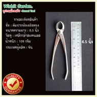 อุปกรณ์บอนไซ คีมท้องเรือปากตรง ขนาด 6.5 นิ้ว ผลิตจากสแตนเลส 165 มม. Branch Cutter Bonsai Tools Conca