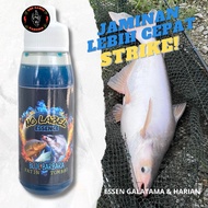 Tombro Gurami Essen Blue Barbara No Label Fishing Bait