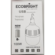 Ecobright Usb Charge LED Light