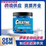 Creatine Monohydrate Gummies Creatine Monohydrate Gummies Rentas sempadan Creatine Gummies