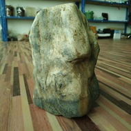 Fosil Teras Kayu Belian Borneo(Belian jadi Batu)