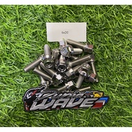 Original Heng 6x20 C1 Bolt