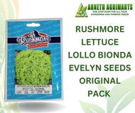 ENZA ZADEN ESTROSA VARIETY / LOLLO BIONDA LETTUCE SEEDS (10 grams original pack)