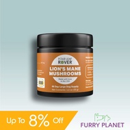 Four Leaf Rover Lion's Mane - Organic Mushroom Extract (35.1g)