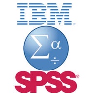 SPSS DATA ENTRY SERVICE
