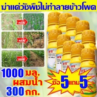 🌽กำจัดวัชพืชใน1วัน🌽 ยาฆ่าหญ้าในป่าข้าวโพด ฆ่าหญ้าข้าวโพด ยาชุดข้าวโพด เข้มข้นสุด100ML นิโคซัลฟูรอน4%