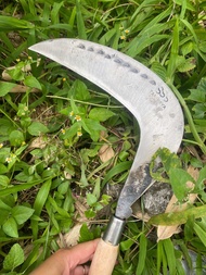 Arit/sabit Rumput cap mata SSS wonosobo baja isen tembus