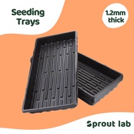 Sprout lab | Hydroponic Nursery Seedling Tray 540L280W60Hmm 1.2mm
