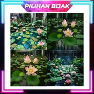 Super Premium Silica Latex Lotus Flower Leaves Real-Touch Bunga Teratai & Daun Realistik 3D Hiasan R