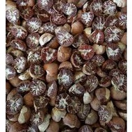 500 GRAM Pinang kering siap kacip /dried areca nut / dried betel nut