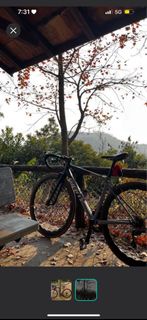 急放 Giant TCR SL 1 2021 S碼