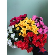 Beautiful cheap azalea flower cluster.