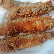 Pekasam Ikan Laut : Ikan Belanak