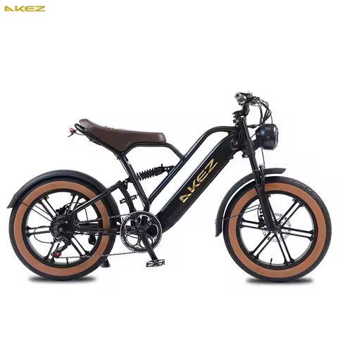 Electric Bike 700W48V13AH Removable Battery Hydraulic Brake E-Bike 20 Inch snow tyre Tire Mountain r