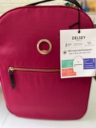 DELSEY backpack 全新