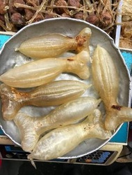 高價 收 花膠 蜘蛛膠 鰵魚膠