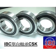 CSK17-2P IBC One-Way Bearing
