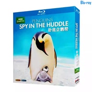 [BLU-RAY DISC SEALED] Documentary ‎BBC Penguins: Spy in the Huddle (2012) 1-Disc Brand New Boxed
