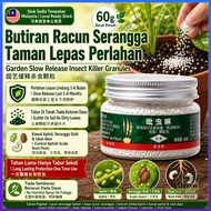 Cheaper midacloprid racun serangga | Soil Insecticide Succulents & Flowers | Systemic Mealybugs & Fu