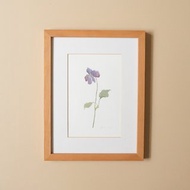 植物插畫-紫羅蘭 / 掛畫 / 實木錶框