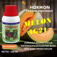 Hormon Mempercepat Net Melon / Pupuk Perangsang Buah Untuk Melon