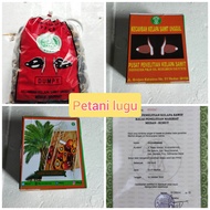 bibit kecambah polong sawit PPKS DUMPY original siap tanam